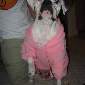 Greta's new hoodie