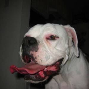 Mama - I got a BIG tongue!!