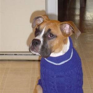 It's chilly today (5 months)