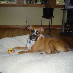 This ball shrank! (5 months)
