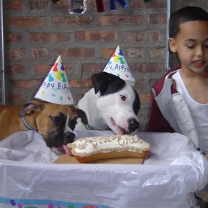 Mmmm cake