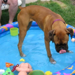 I love the pool!