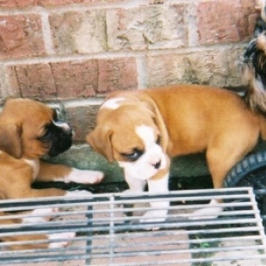 Shelby w/ brother Archie