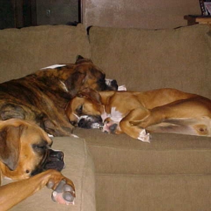 Lazy summer days...