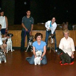 Obedience graduation