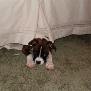 Hiding Spot