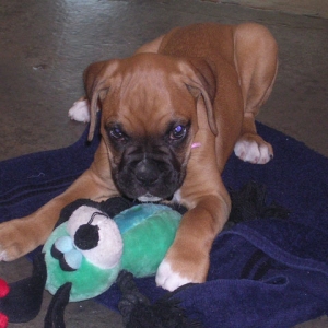 Wanna play?