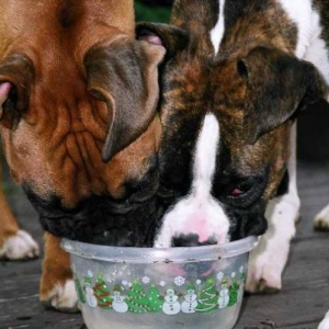 So thirsty.......................