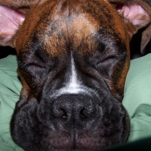 Soo tired....