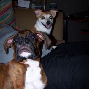 2 peas in a pod!