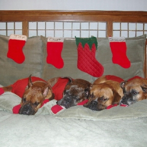 2004 Christmas