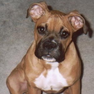 Chloe