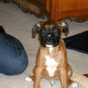 First day home