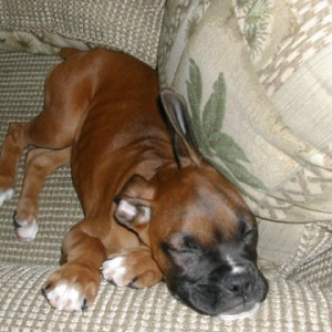 Sleepy time