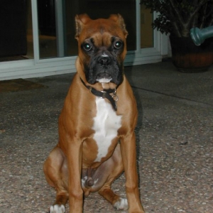 My serious look