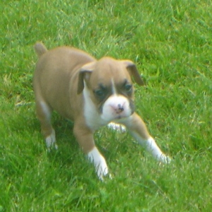 First day outside_1 month old