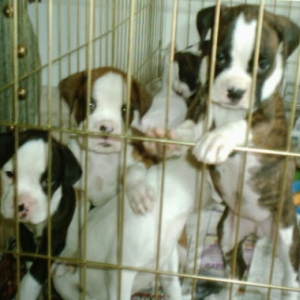 Let us out!!