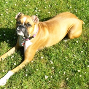 soakin up the sun
