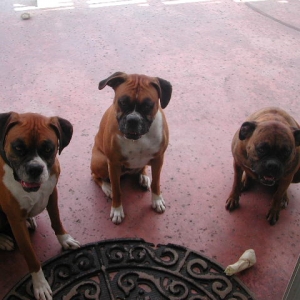 Treat? ok, I'll be good!