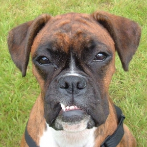 Don't look at me like that!