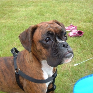 tally's first time at camp!
