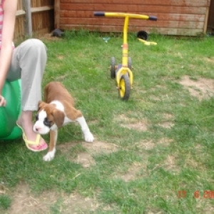 Hope 8wks