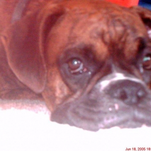 I'm bored mom!