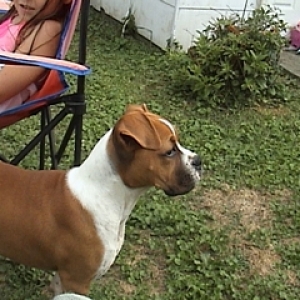 Side Profile of Cassie