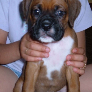 Maddie at 6 weeks