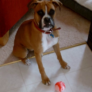 Tsura and her favorite toy