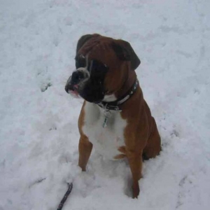 snow time