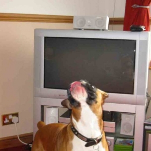 watching a balloon