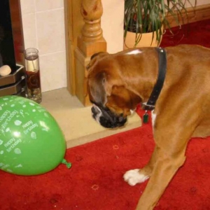 playing with a balloon