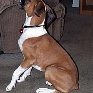 Xena Arguing with Daddy