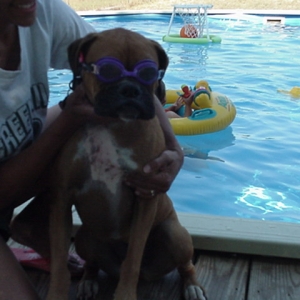 taking a dip