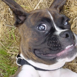 Say Cheese!!!!!