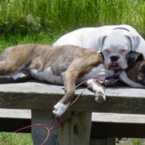Snugglin