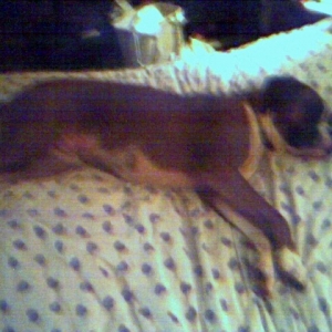 bedtime