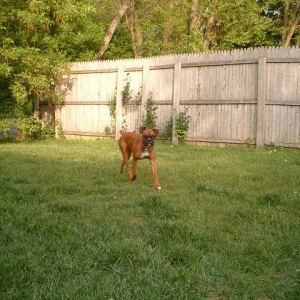 Hanging in the yard