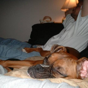 Quick Nap
