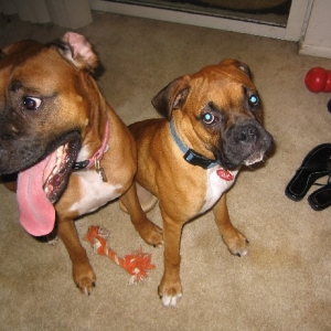 Tess and Conner