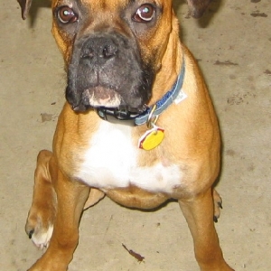 Introducing Conner!