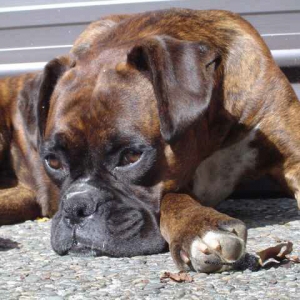 Sunning herself