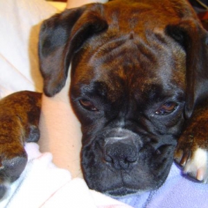 Cuddling my arm lol