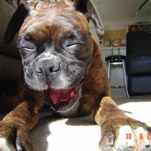 Mum you crack me up!