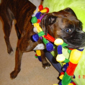 Playing with her new toy