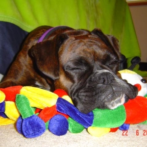Pffft who needs a pillow