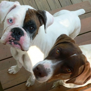 Bayley & Baxter
