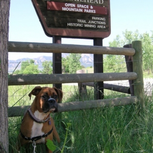 Trail Head