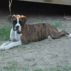 relaxing Fred